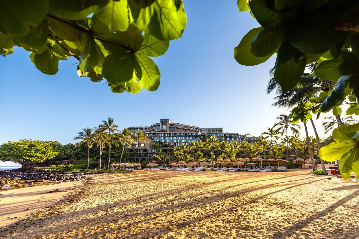 Beachfront resort building framed by palms and sea grape leaves at 1 Hotel Hanalei Bay.