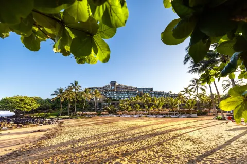 Beachfront resort building framed by palms and sea grape leaves at 1 Hotel Hanalei Bay.