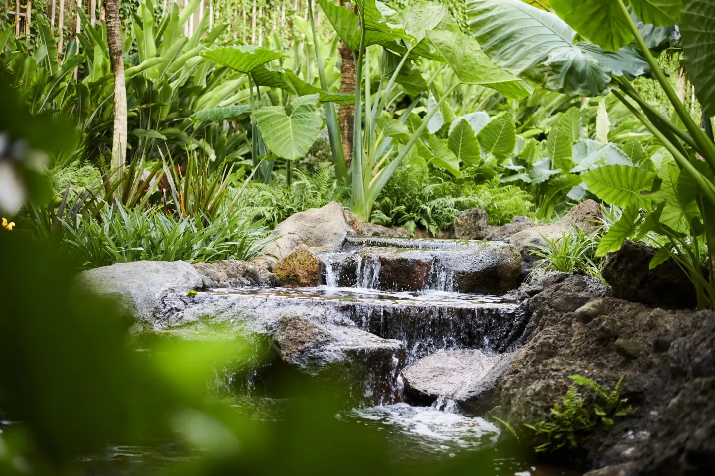 Small rock waterfall surrounded by lush tropical plants at 1 Hotel Hanalei Bay.