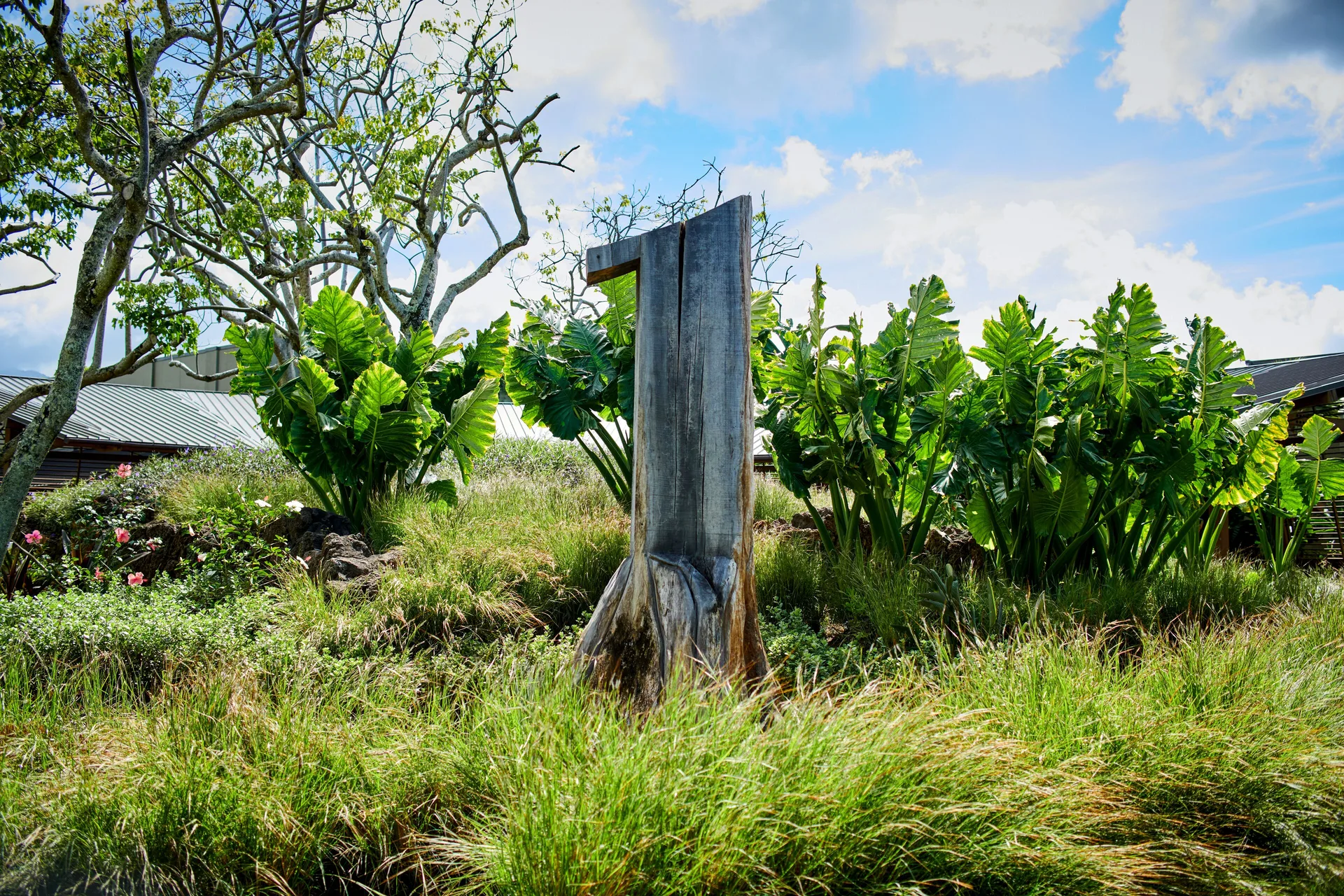 Garden planting with tropical leaves and a weathered wood sculpture at 1 Hotel Hanalei Bay.