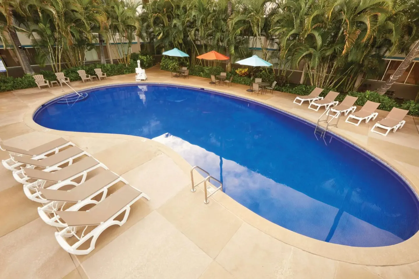 Curved outdoor pool with lounge chairs and palms at Airport Honolulu Hotel.