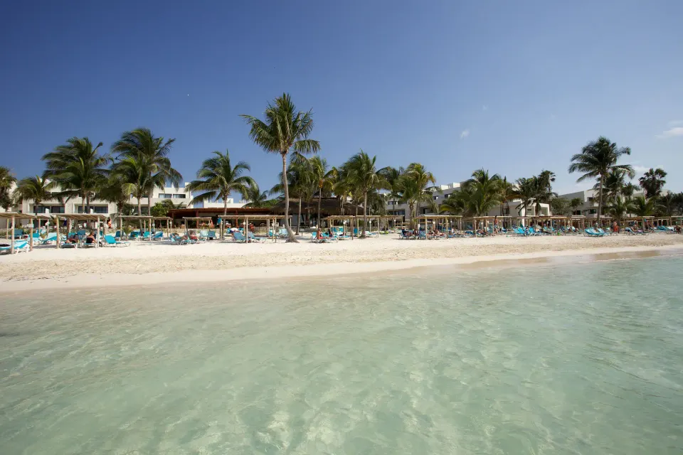 Resort beachfront with palms and lounge chairs seen from the water at Akumal Bay Beach & Wellness Resort