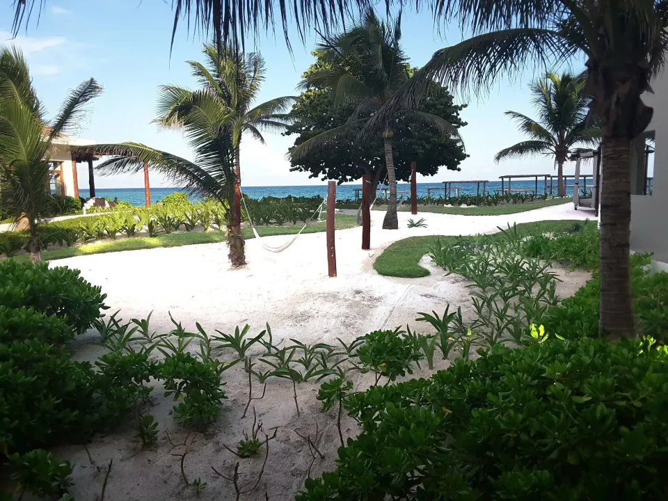 Sandy hammock area and palms facing the sea at Akumal Bay Beach & Wellness Resort
