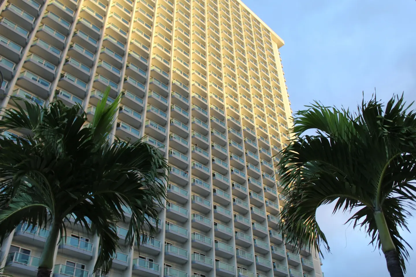 Ala Moana Hotel balconies rising between palm trees.