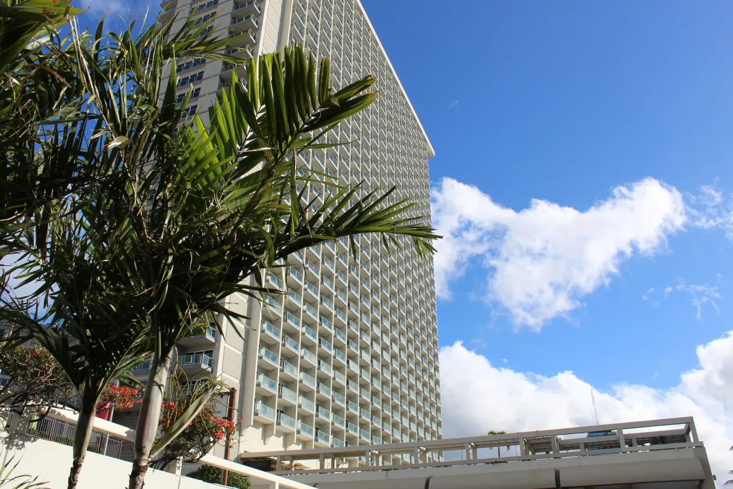Ala Moana Hotel tower framed by palm leaves and blue sky.