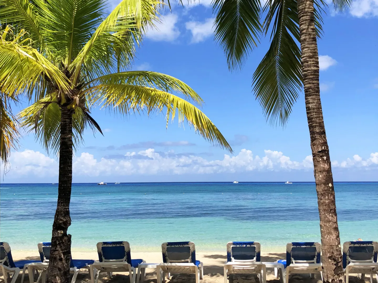 Beach loungers beneath palm trees facing turquoise water at Allegro Cozumel.
