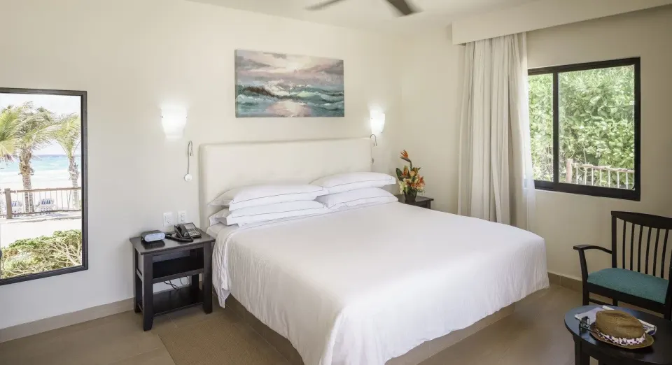 Junior Suite Official 1
