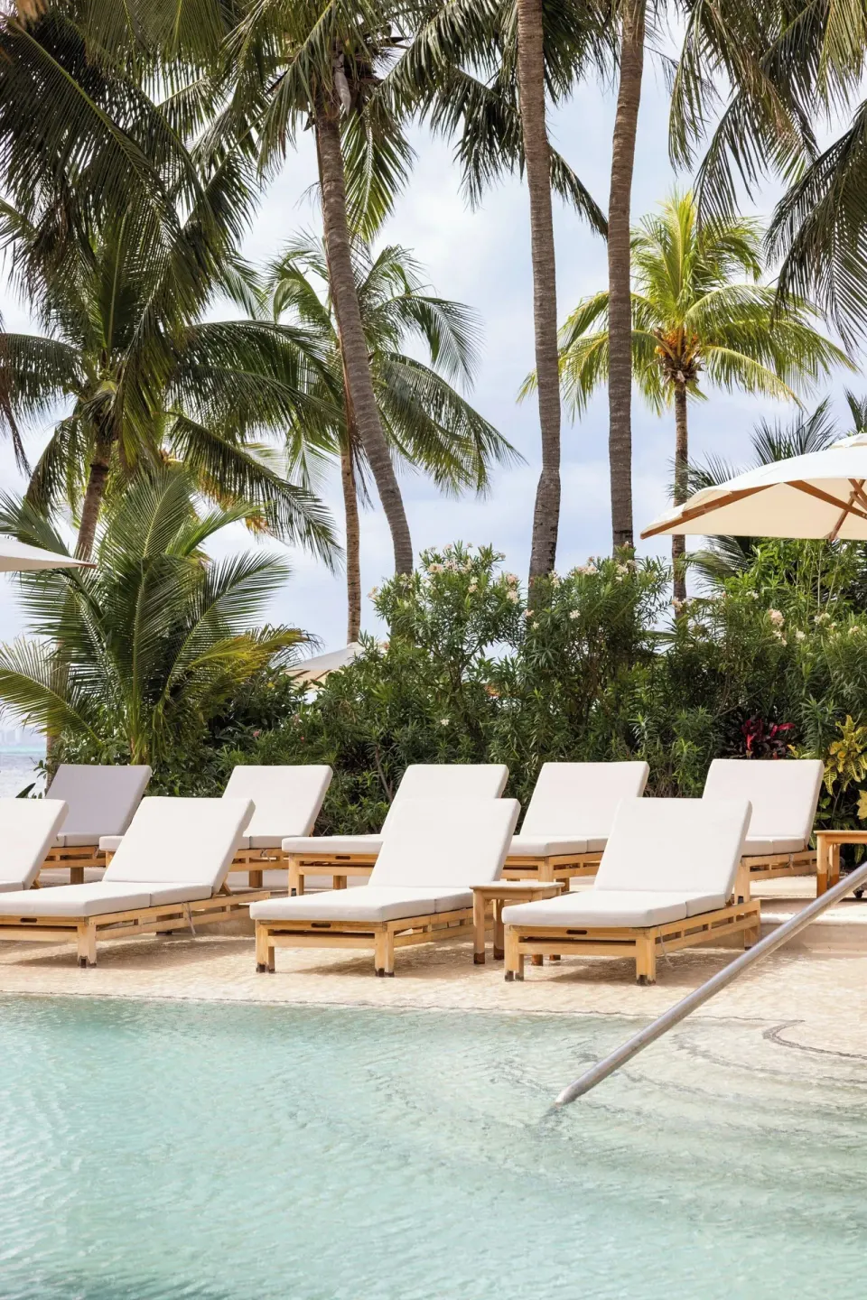 Pool loungers set beneath tall palm trees at Almare, a Luxury Collection Resort, Isla Mujeres.
