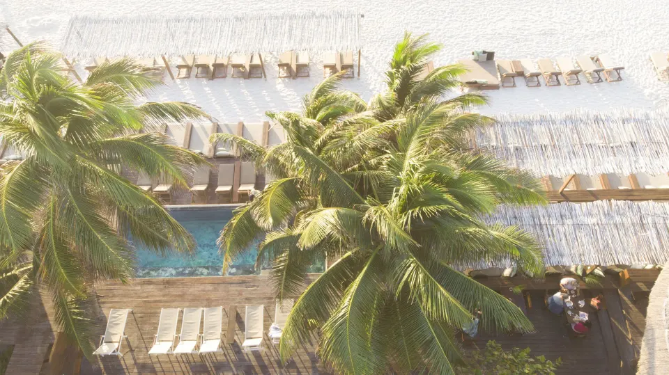 Aerial view of a narrow pool, palm trees and beach loungers beside the sea at Amansala