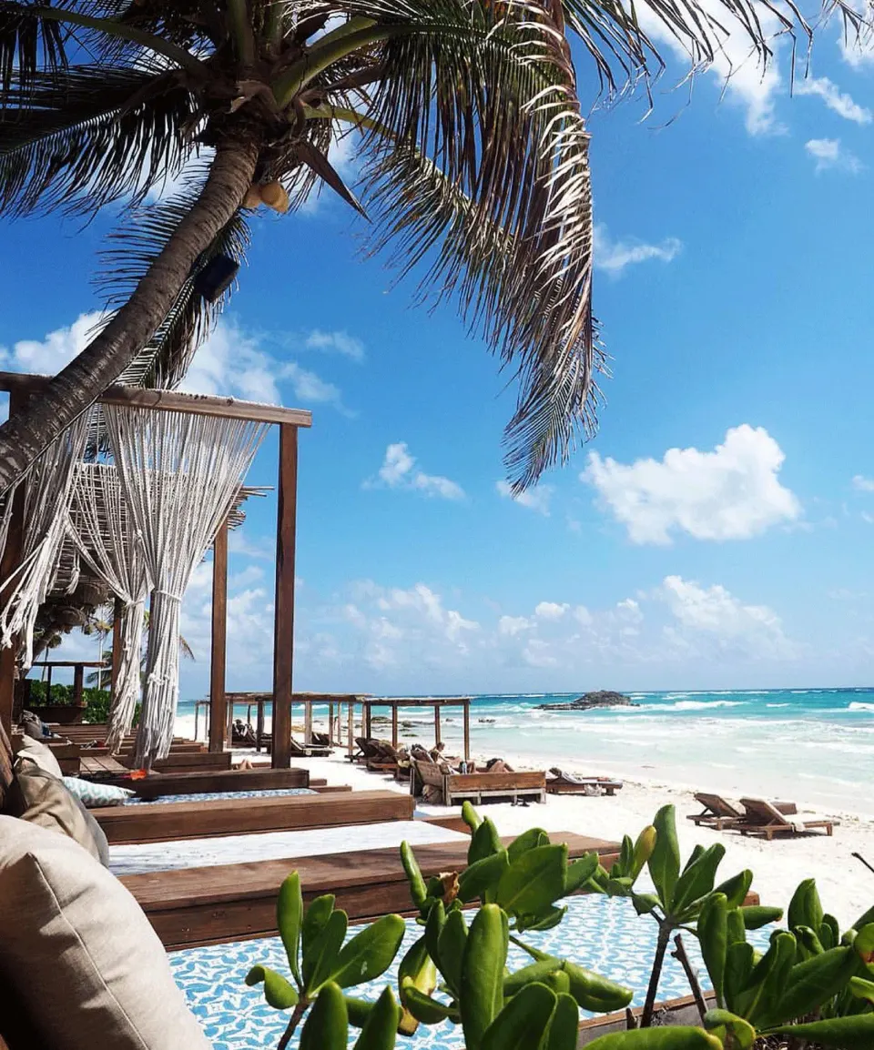 Row of beachfront daybeds and palm trees beside the turquoise sea at Amansala
