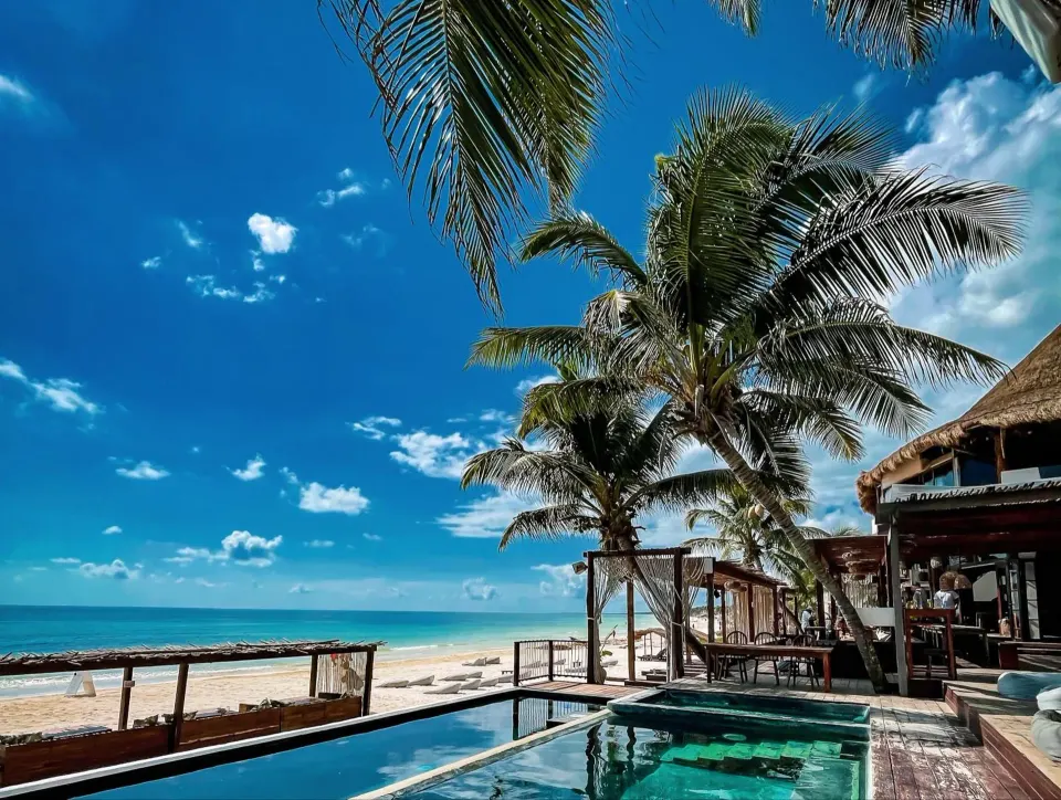Daytime pool and beachfront deck with palm trees at Amansala