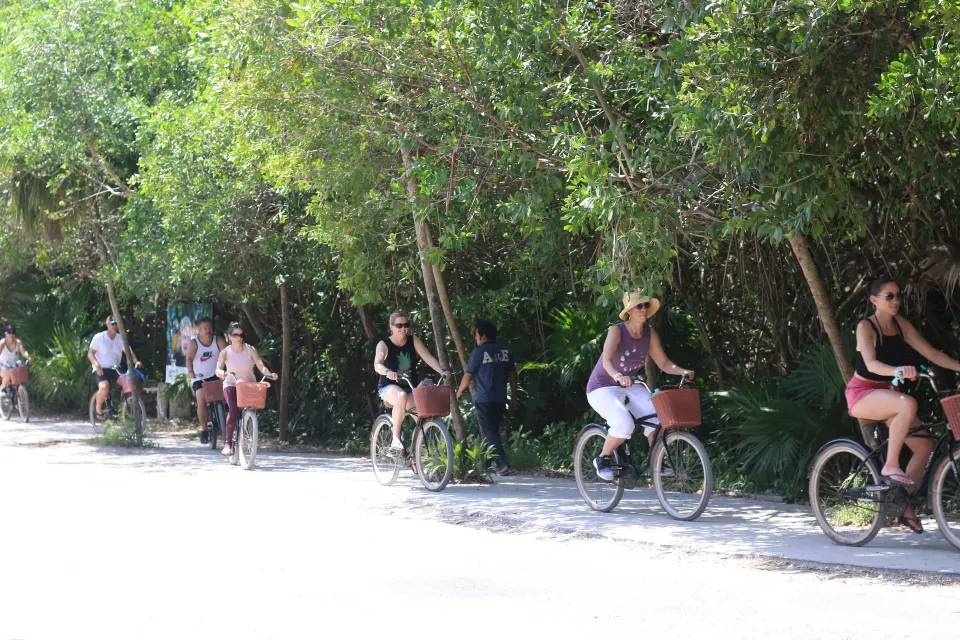 Line of guests riding bicycles along a tree-lined path at Amansala