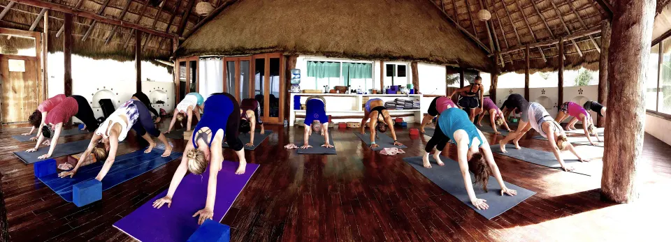 Group yoga class practicing downward dog in a thatched palapa at Amansala