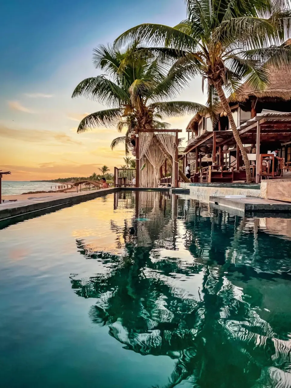 Infinity pool beside palm trees and oceanfront dining at Amansala