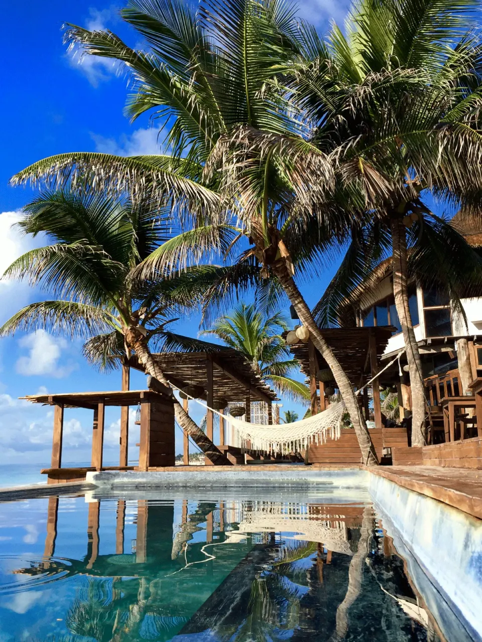 Hammock and palms beside a reflecting pool at Amansala