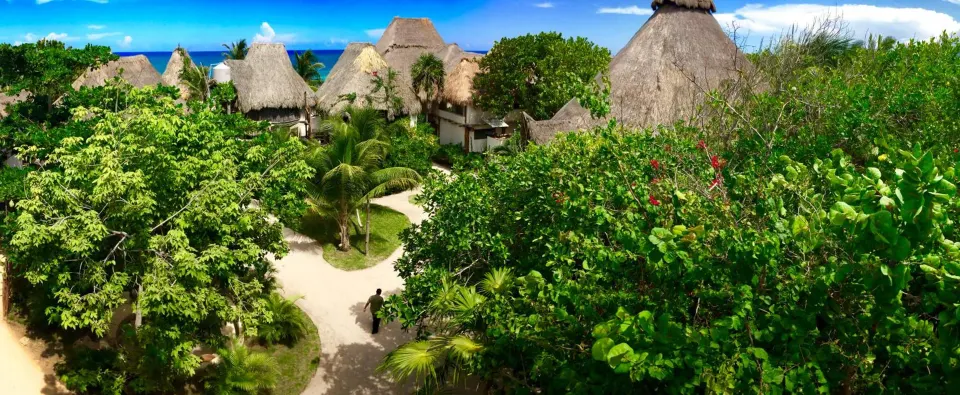 Resort grounds with palapa rooftops and tropical foliage at Amansala