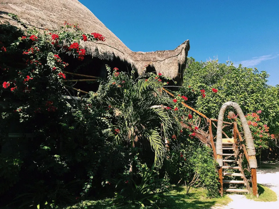 Thatched villa exterior surrounded by tropical plants and a curved wooden staircase at Amansala