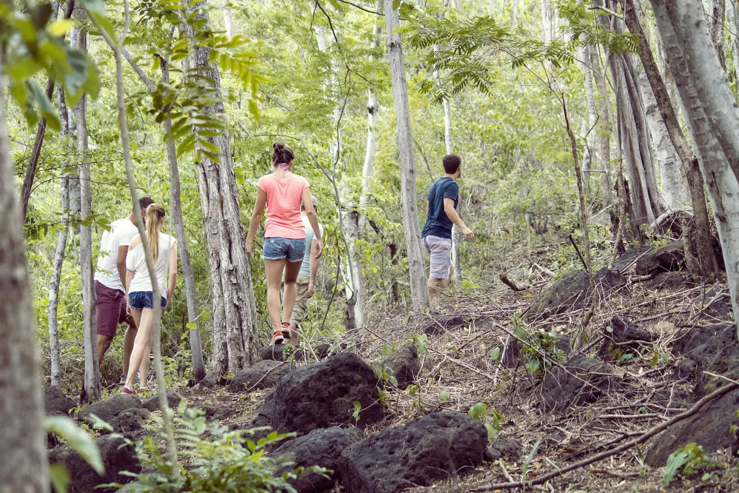 Guests hike through dry tropical forest at Andaz Peninsula Papagayo Resort, Costa Rica.