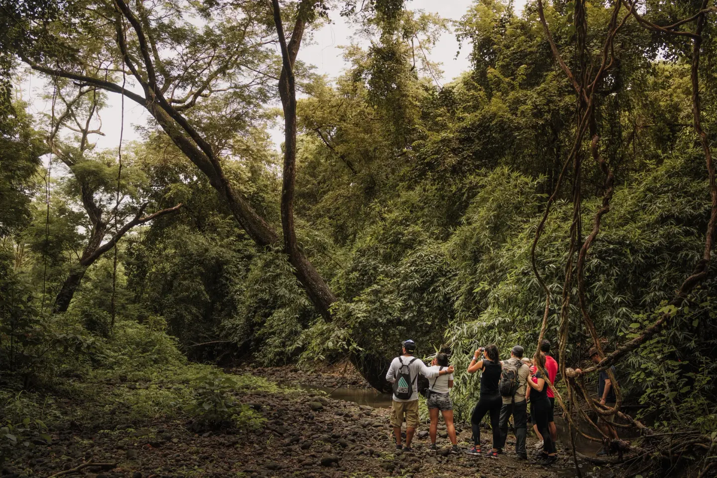 Guided group stands in a lush forest ravine at Andaz Peninsula Papagayo Resort, Costa Rica.
