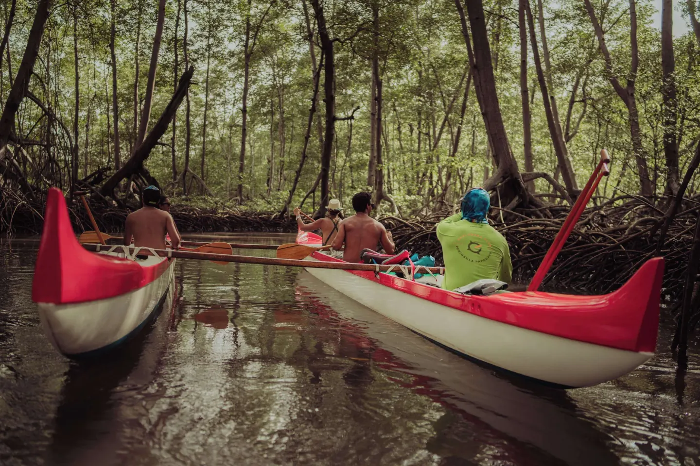 Guests paddle red and white canoes through mangroves at Andaz Peninsula Papagayo Resort, Costa Rica.