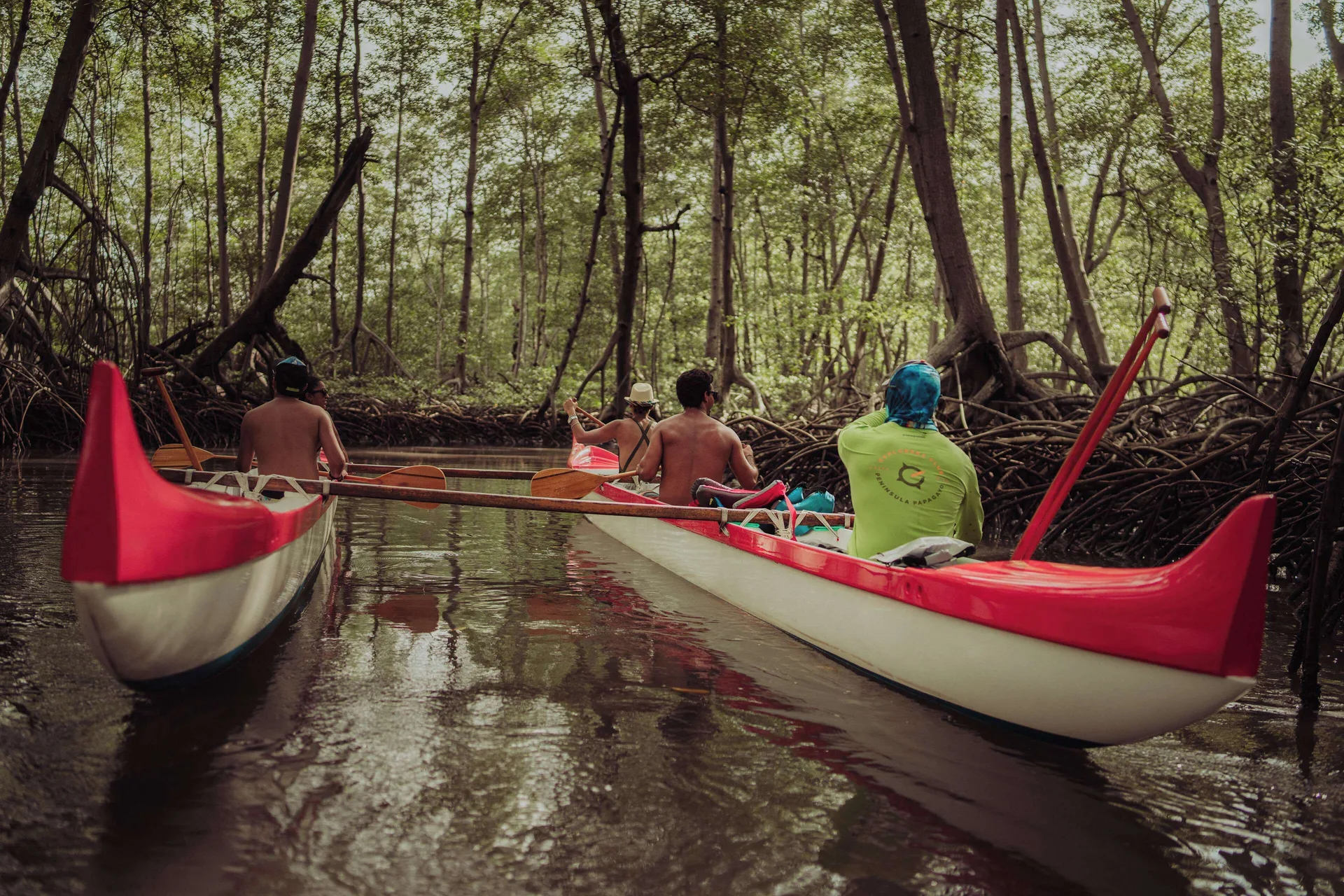 Guests paddle red and white canoes through mangroves at Andaz Peninsula Papagayo Resort, Costa Rica.