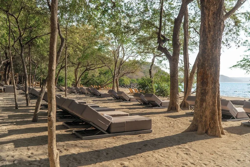 Beach loungers shaded by trees at Andaz Peninsula Papagayo Resort, Costa Rica.
