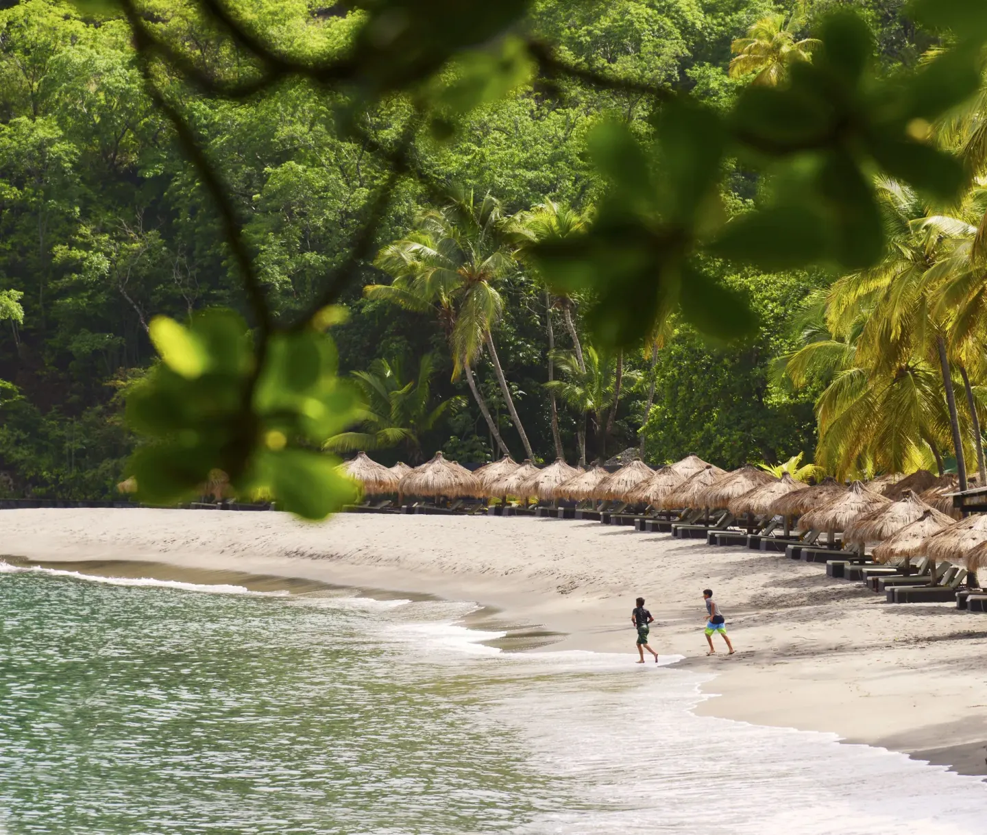 Beach loungers and thatched umbrellas curve along the shore at Anse Chastanet Resort.
