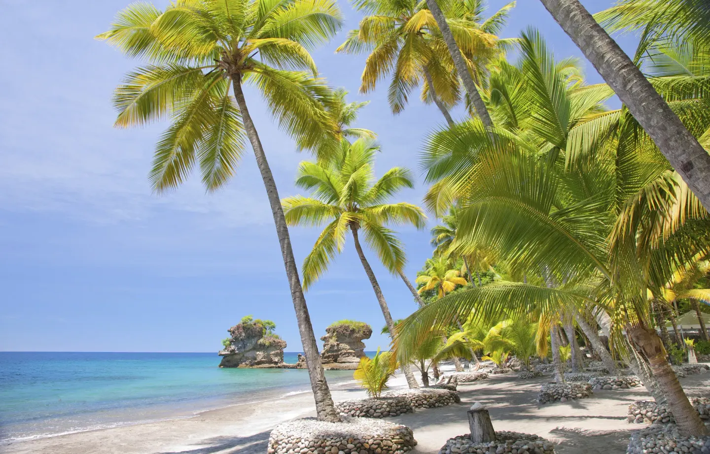 Leaning palms and calm sea line the beach at Anse Chastanet Resort.