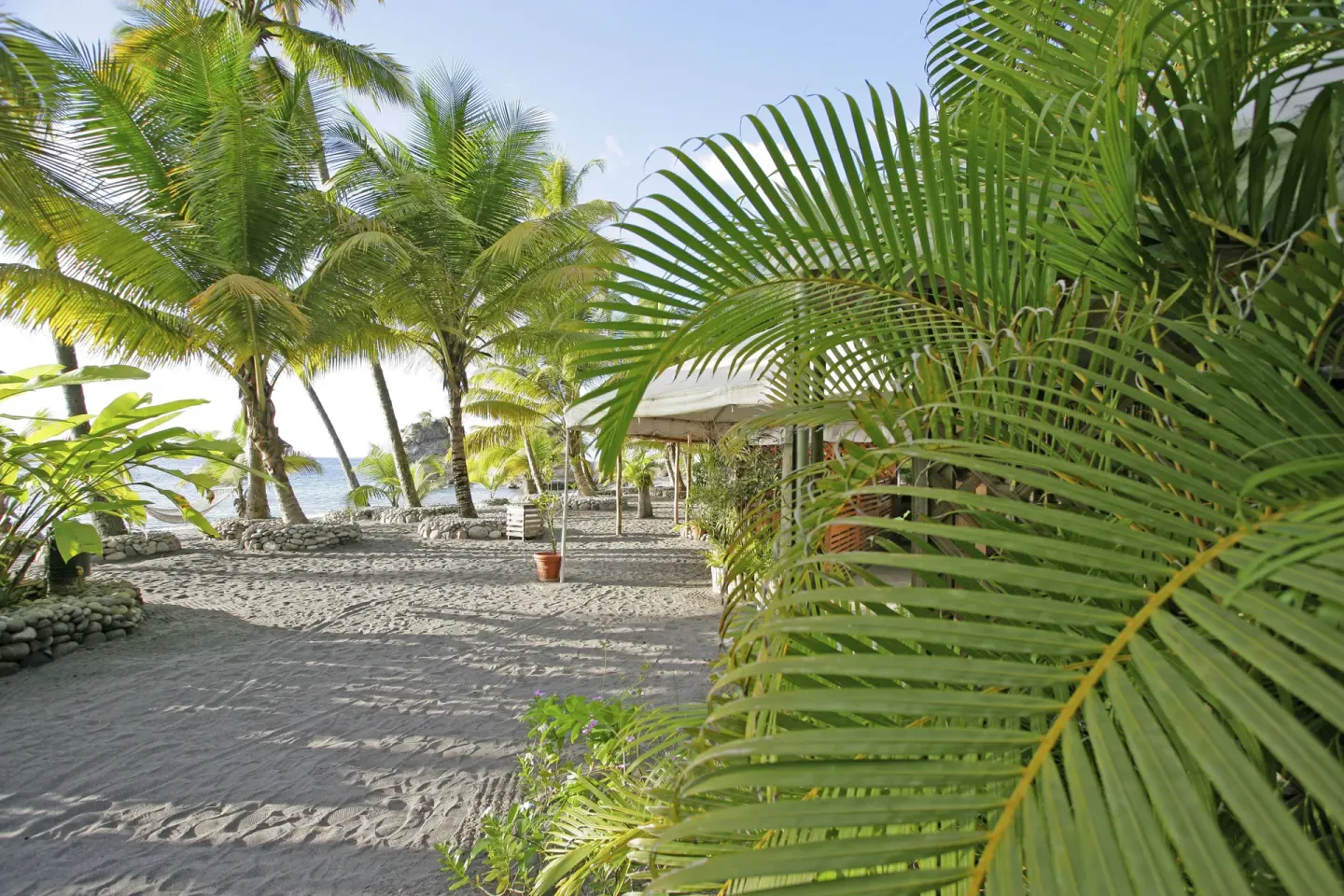 Palm-shaded beach path and sand at Anse Chastanet Resort.