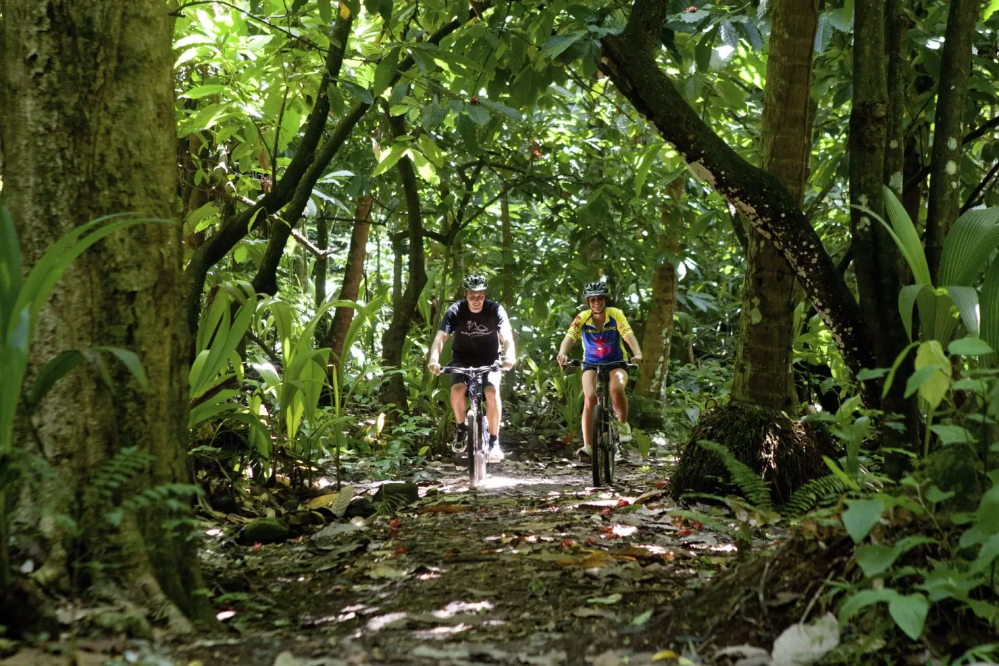 Cyclists ride a shaded rainforest trail at Anse Chastanet Resort.