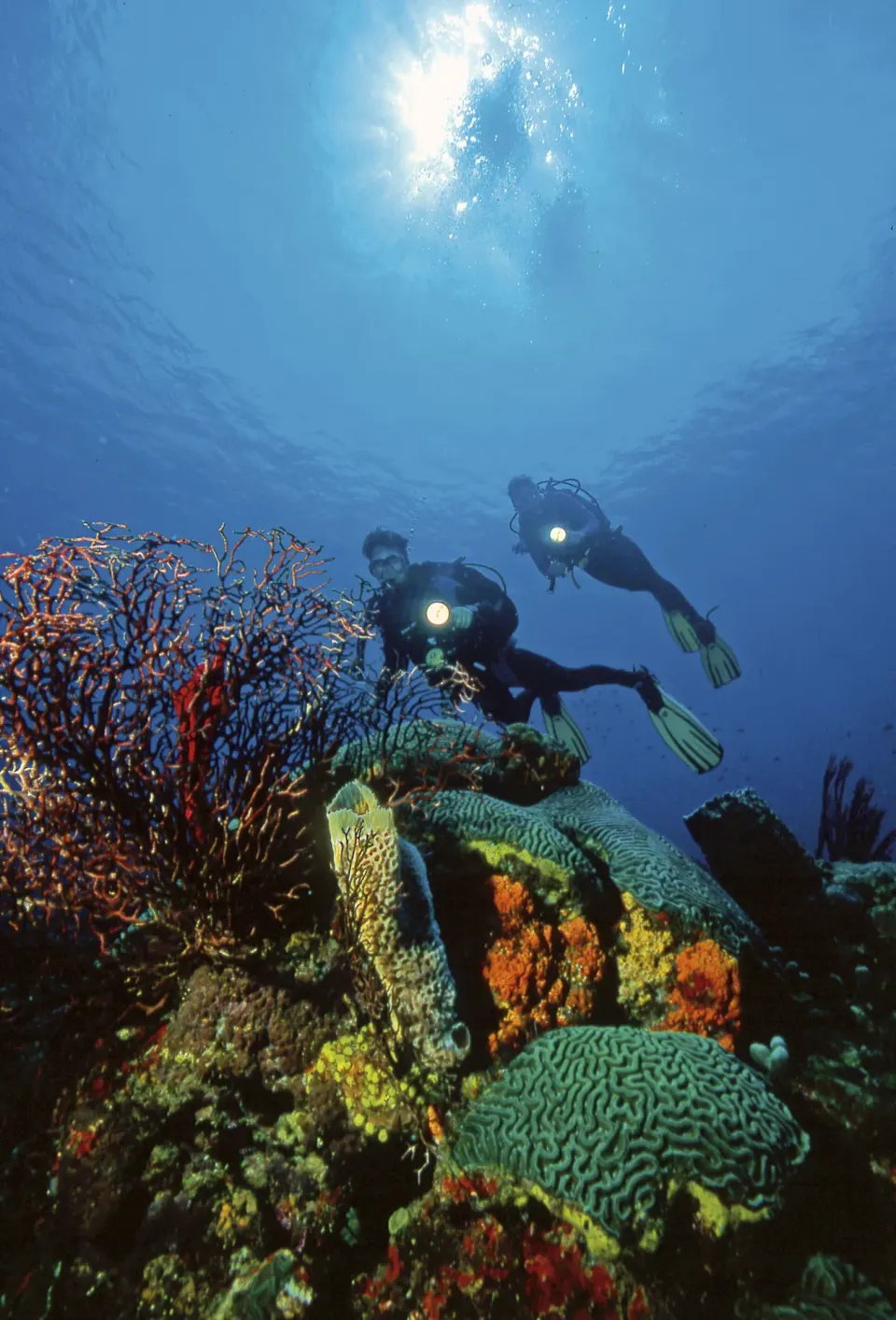 Scuba divers over coral reef near Anse Chastanet Resort with sunlight filtering through blue water.