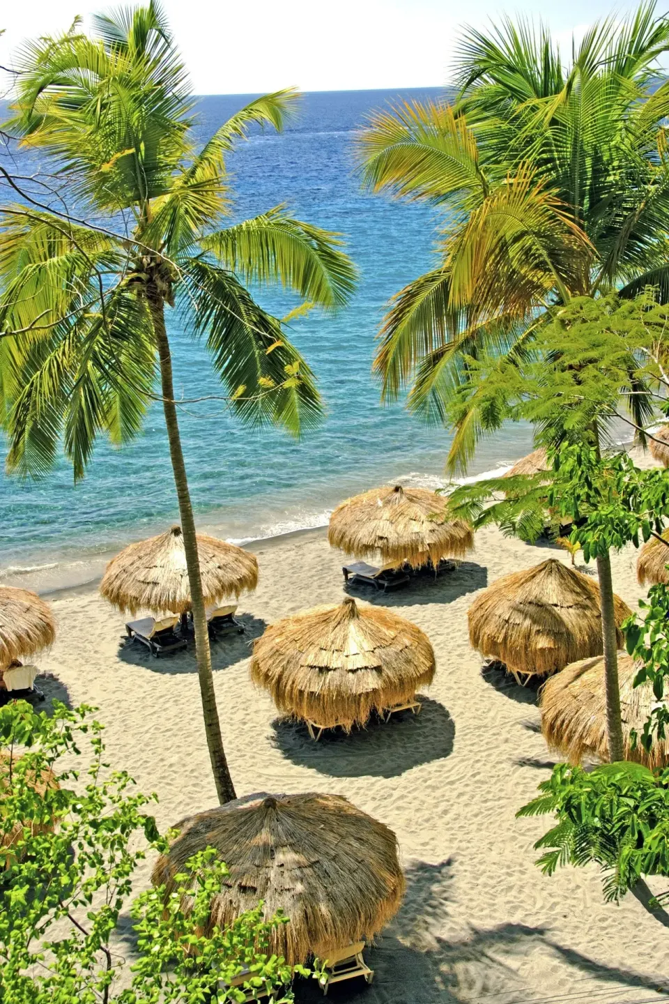 Thatched beach umbrellas and palms line the sand at Anse Chastanet Resort.