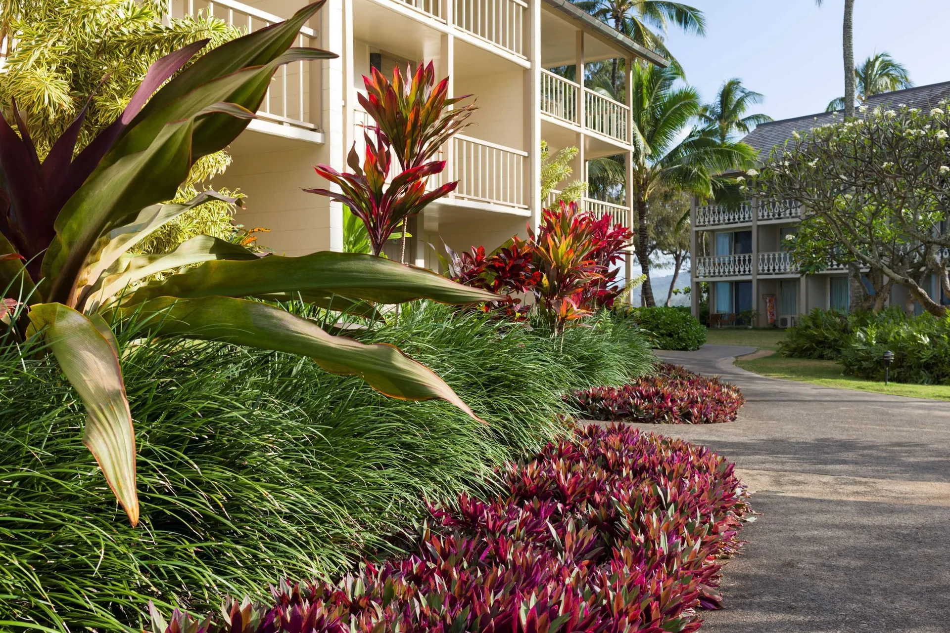 Garden path with tropical plants and guest buildings at Aston Islander on the Beach.