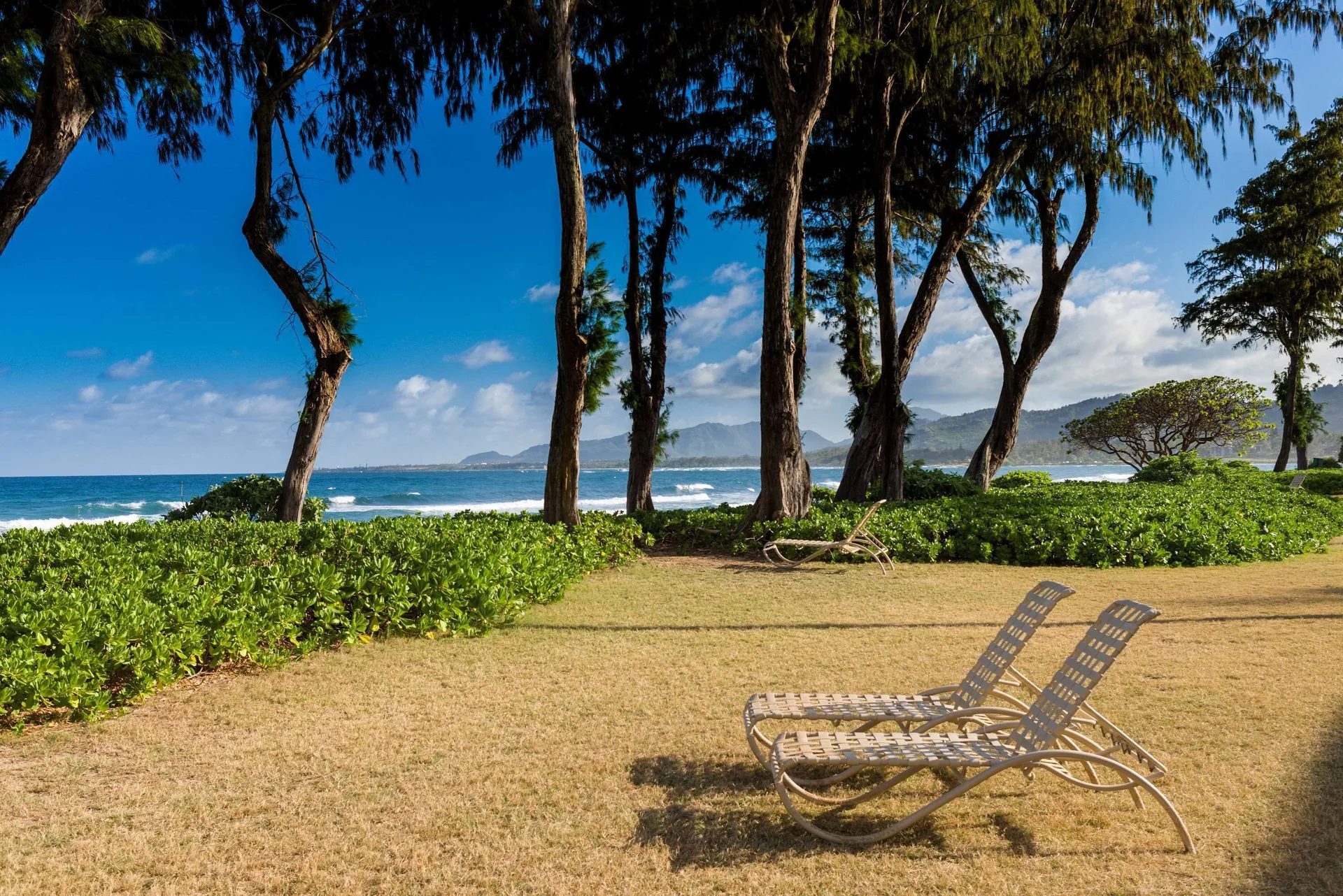 Lawn chairs facing the ocean at Aston Islander on the Beach.