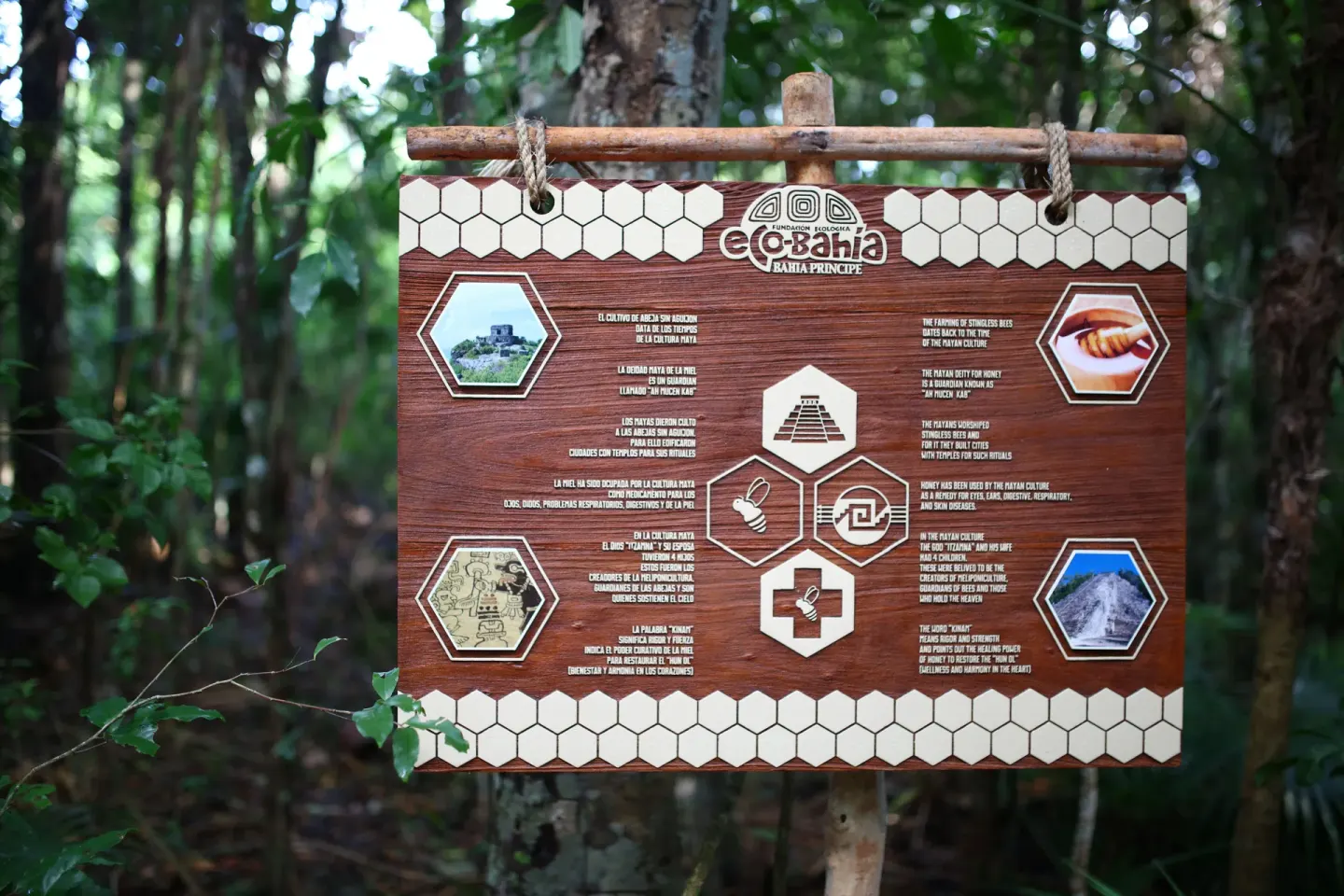 A forest trail sign explains local ecology at Bahia Principe Explore Legend.