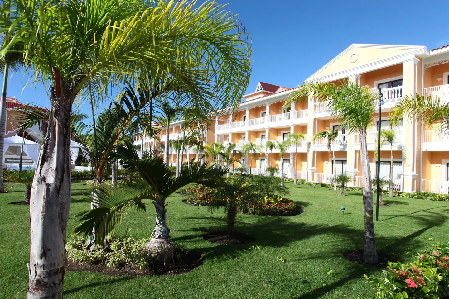 Palm garden in front of guest room buildings at Bahia Principe Grand Aquamarine.