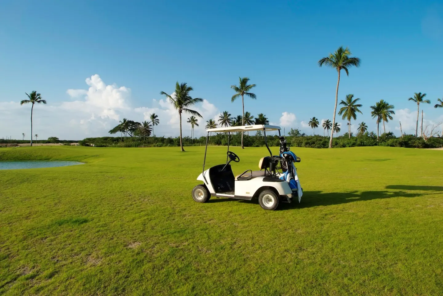 Golf cart on a green fairway near palms at Bahia Principe Luxury Bouganville.