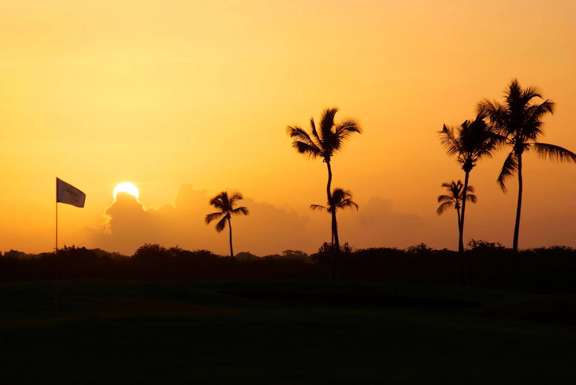 Sunset silhouettes palm trees and a flag near Bahia Principe Luxury Bouganville.
