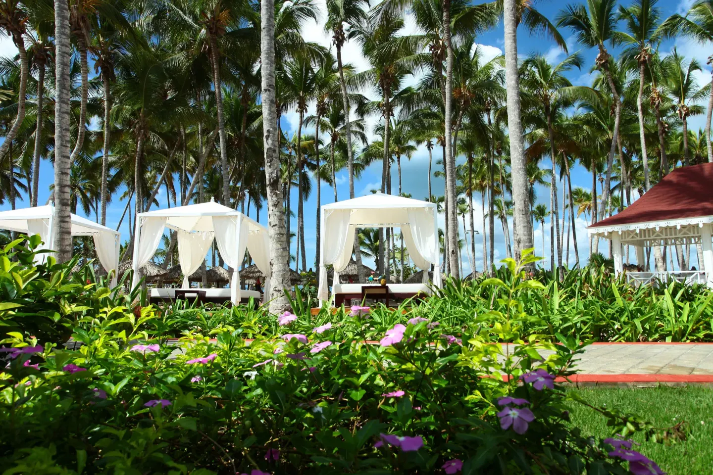 Garden path with flowers, palms and white cabanas at Bahia Principe Luxury Bouganville.