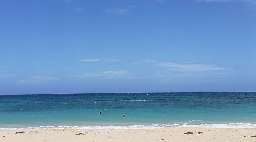 Cardiff Hall Beach 5 Min Drive