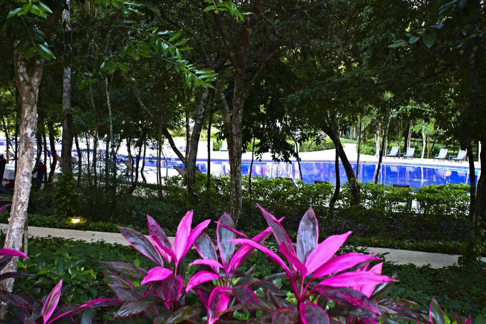Pool glimpsed beyond trees with pink tropical plants in the foreground at Bahia Principe Luxury Sian Ka'an