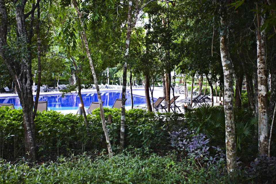 Resort pool seen through trees and undergrowth at Bahia Principe Luxury Sian Ka'an