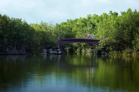 Two cyclists ride across a bridge over a lagoon at Banyan Tree Mayakoba.