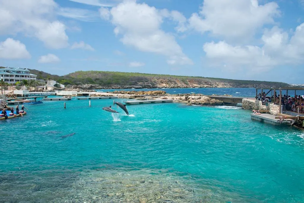 Curaçao Sea Aquarium