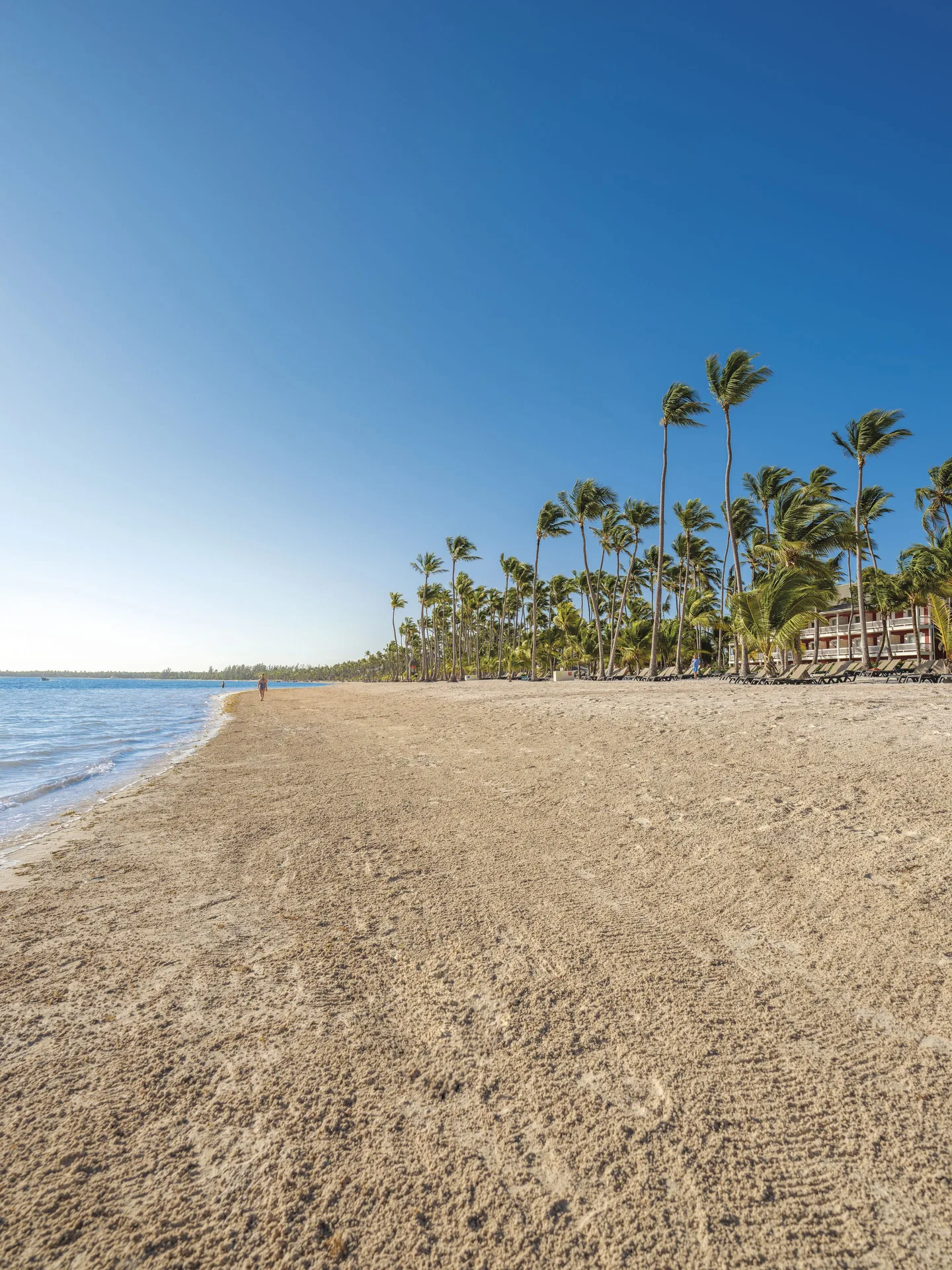 Wide sandy beach with palm trees and loungers at Barceló Bávaro Beach.