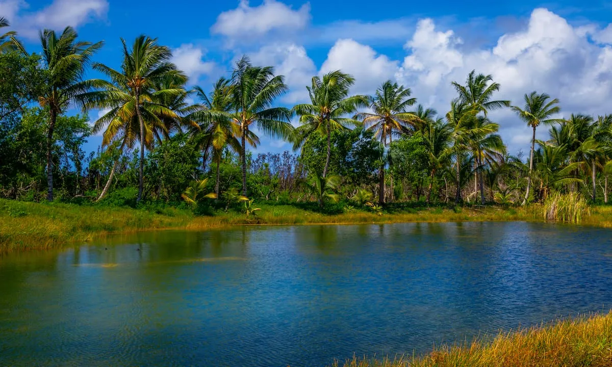 Bavaro Lagoon 5 Min Drive