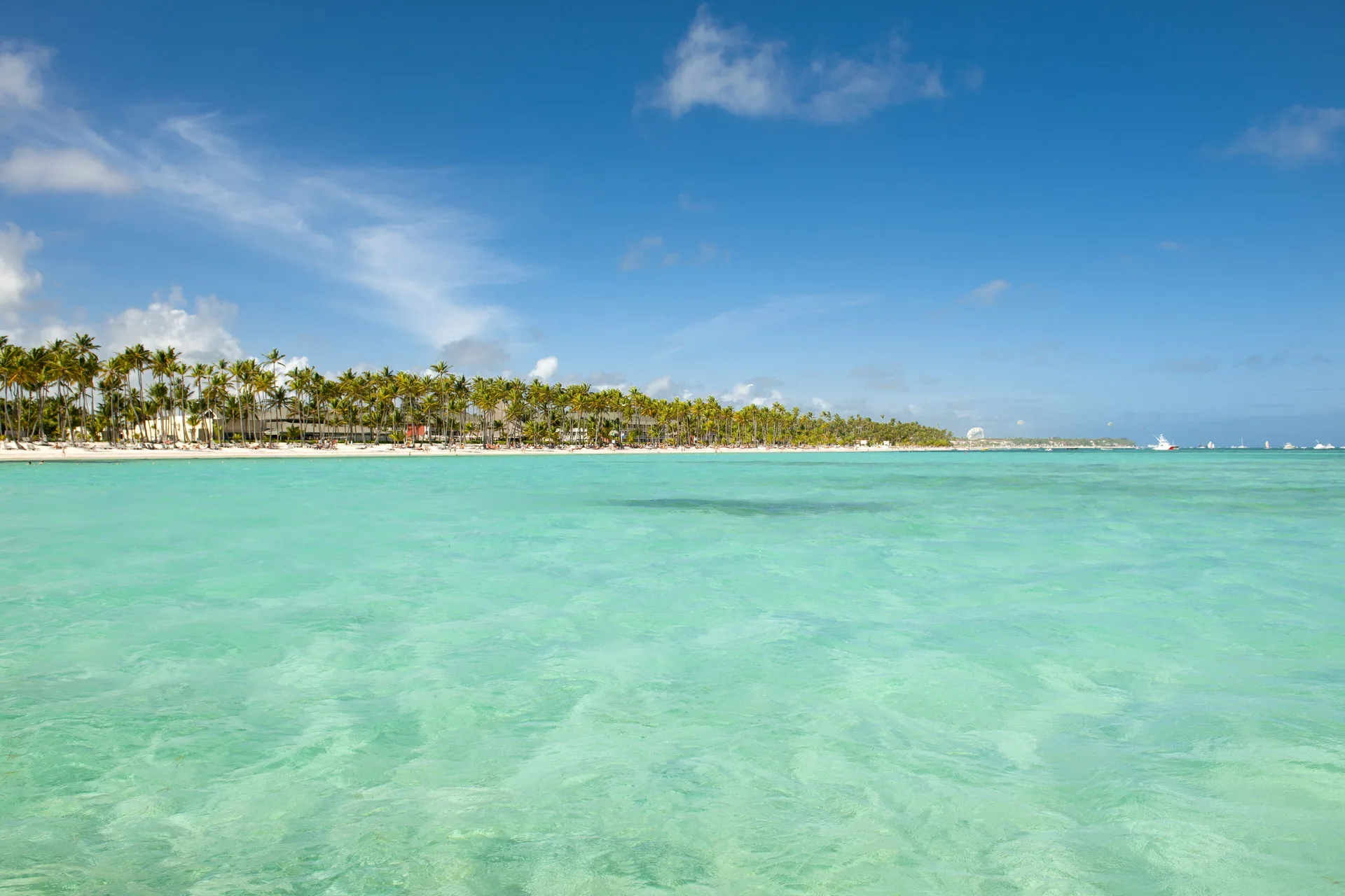 Turquoise water and palm-lined beach at Barceló Bávaro Palace.