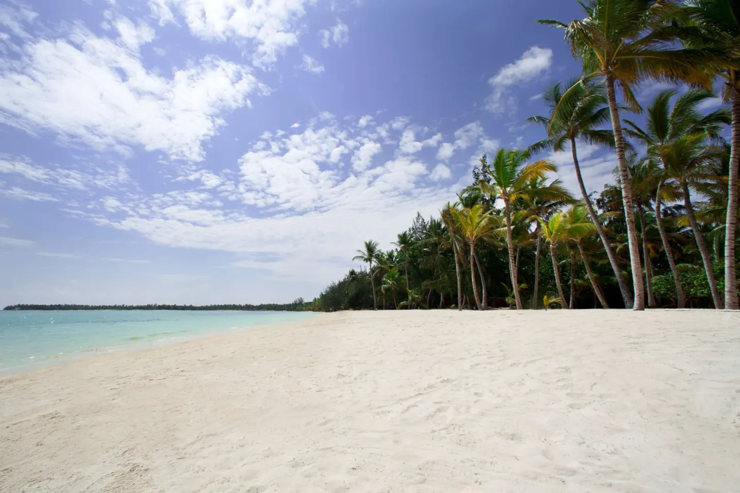 Wide white-sand beach with palms and turquoise water at Barceló Bávaro Palace.