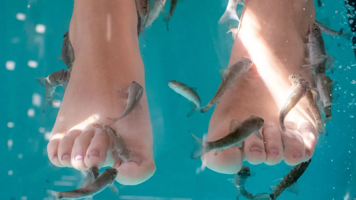 Fish swim around submerged feet in a turquoise pool at Barceló Huatulco.