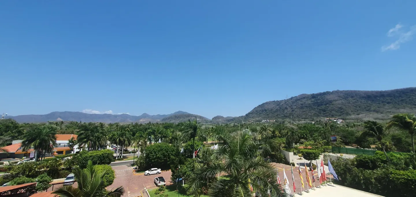 Mountain and palm view from a Superior Room at Barceló Ixtapa.